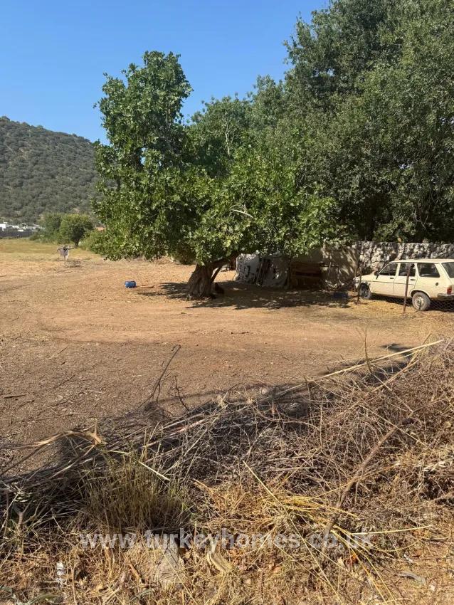 Feld Zu verkaufen in Kayaköy Bz. Fethiye - Feld-Zonierung - 5.203 m²